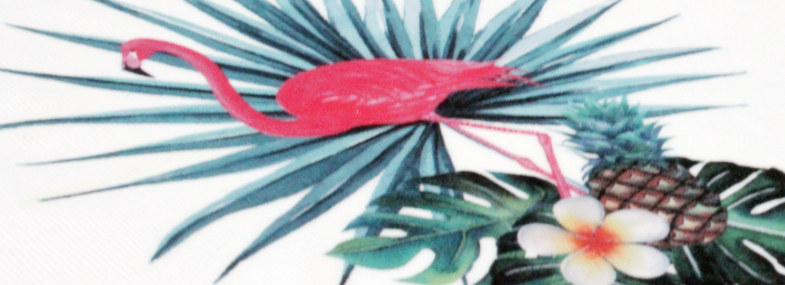 Featured Image - Poli-flex Printable 4625 (transparant) met vernieuwde liner