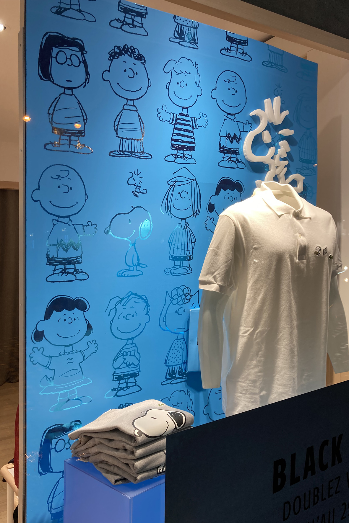 Image - Featured Image  - ASLAN Metal Color CA24 PET/PVC metalized -  1