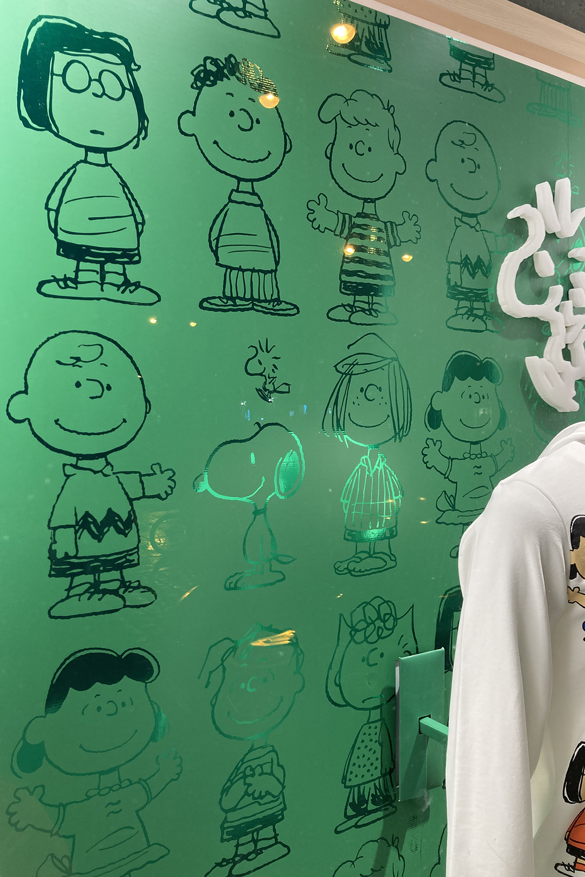 Image - Featured Image  - ASLAN Metal Color CA24 PET/PVC metalized -  2