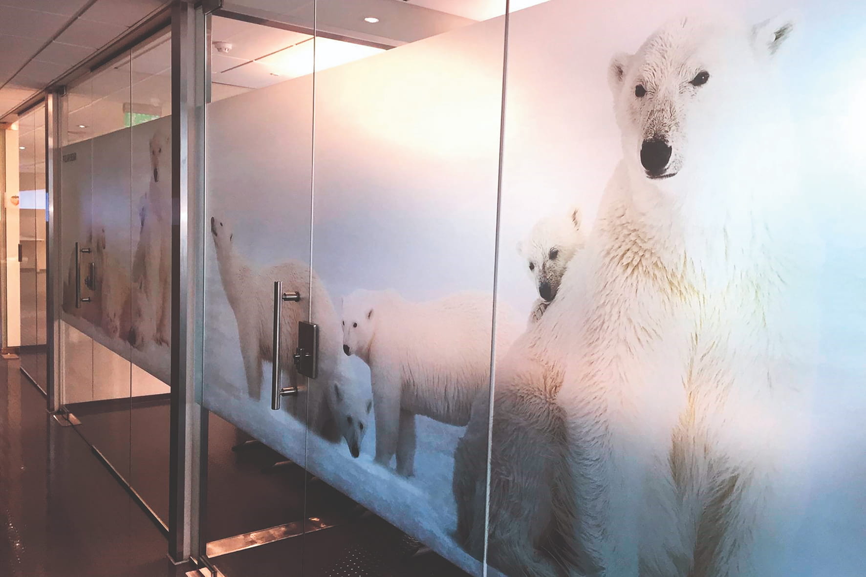 Featured Image - GlassApeel P3596 PET frost 130mic Microsuction