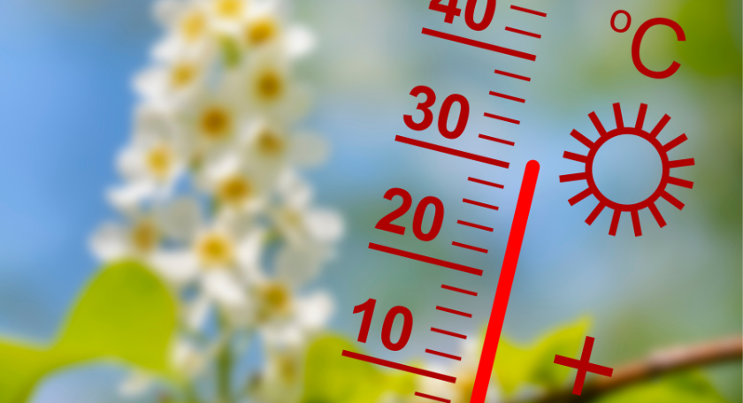 Category Widget - Verbeterde printkwaliteit bij warme temperaturen: onze tips - Image