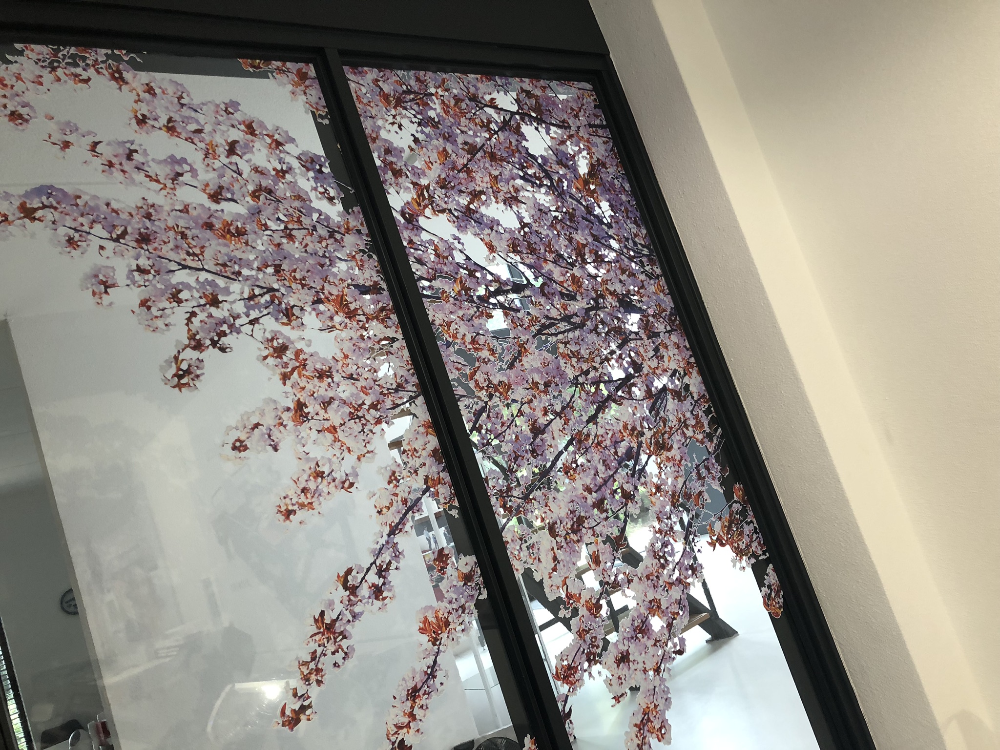 Featured Image - Welke raamfolie heb ik nodig?