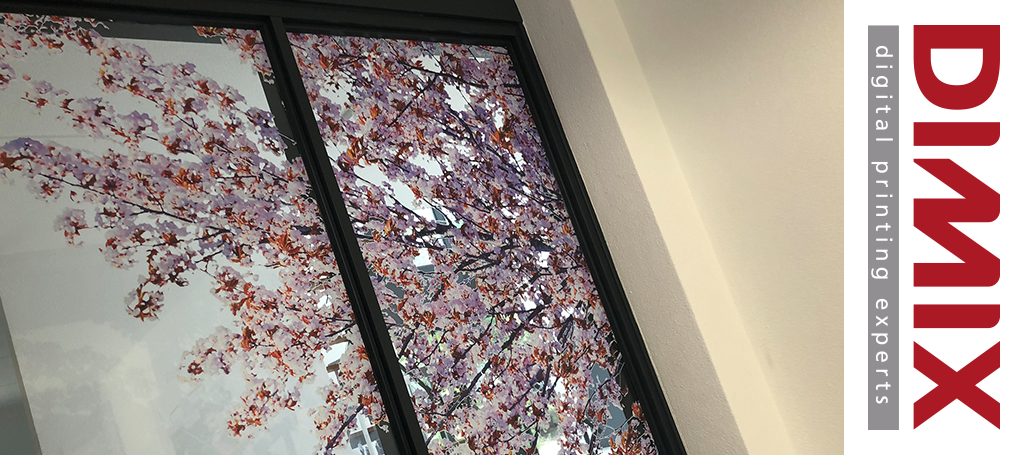 Category Widget - Welke raamfolie heb ik nodig? - Image