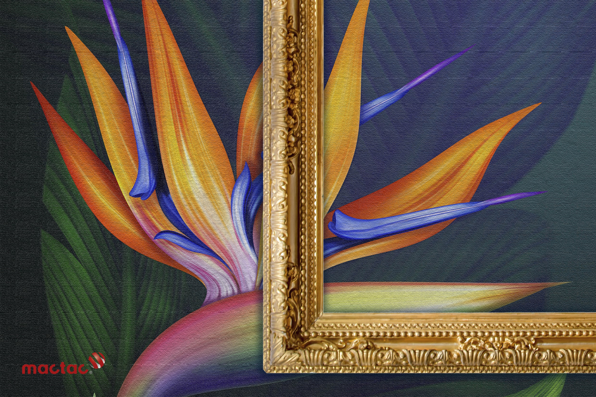 Image - Featured Image  - mactac P4955 behangvinyl canvas 250mic wit mat high tack -  1