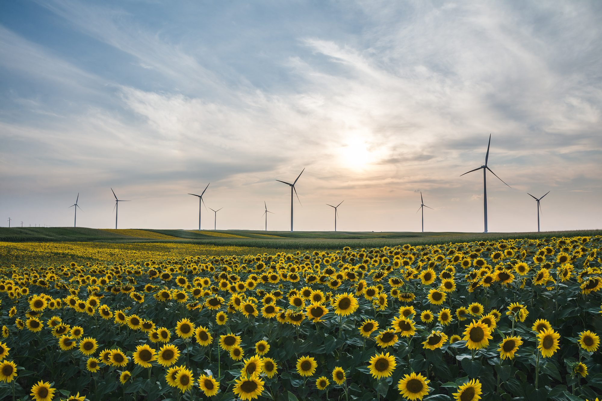 Featured Image - Grafityp Life Cycle Assessment