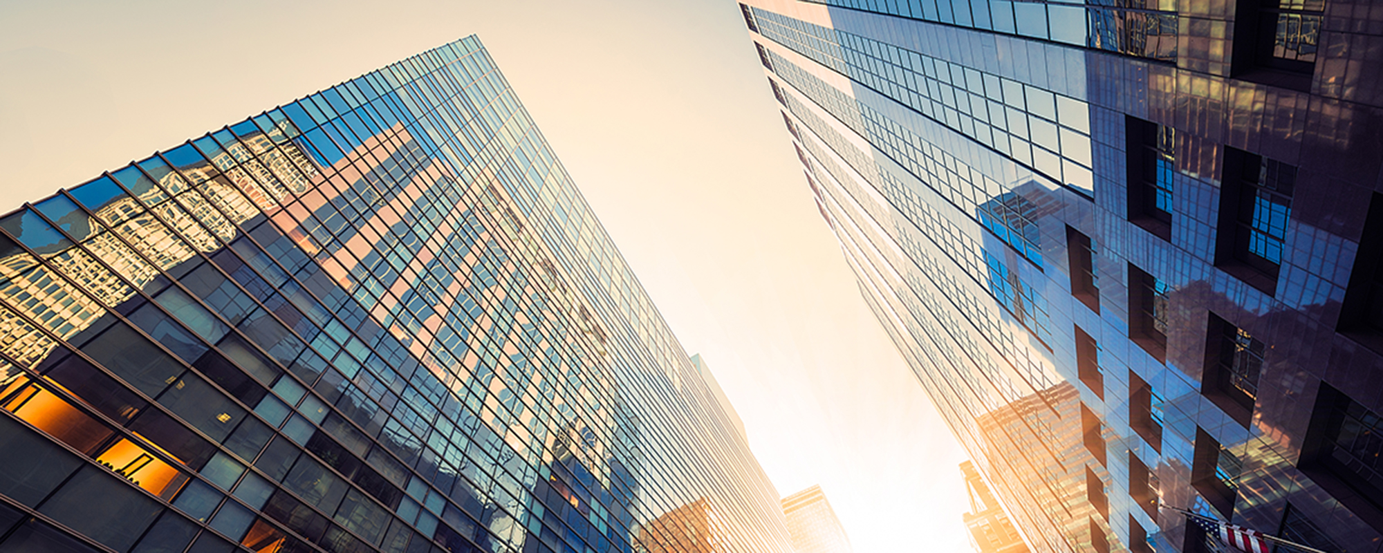 Featured Image - Ontdek de Solar & Safety raamfolies