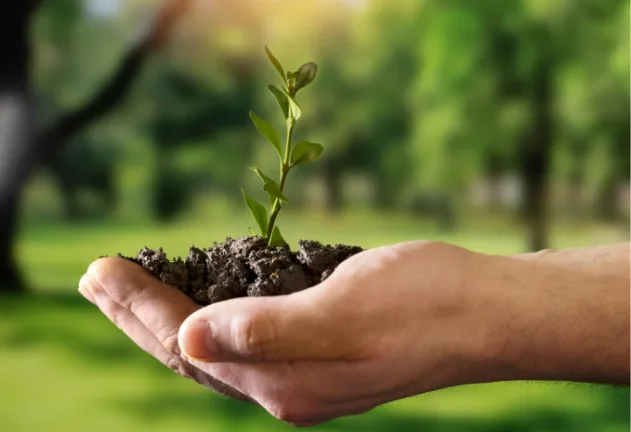 sustainability-image-1